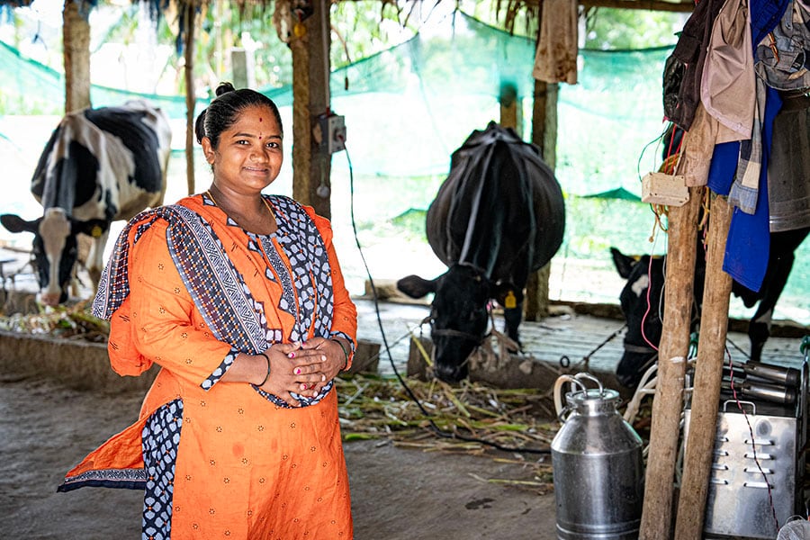 Ramya Kumar has been using the solar-powered milking machine for the last two years now. Earlier, milking the cows manually would take 30 minutes, now it only takes 5 minutes to milk each cow with this machine; Image: Selvaprakash Lakshmanan for Forbes India