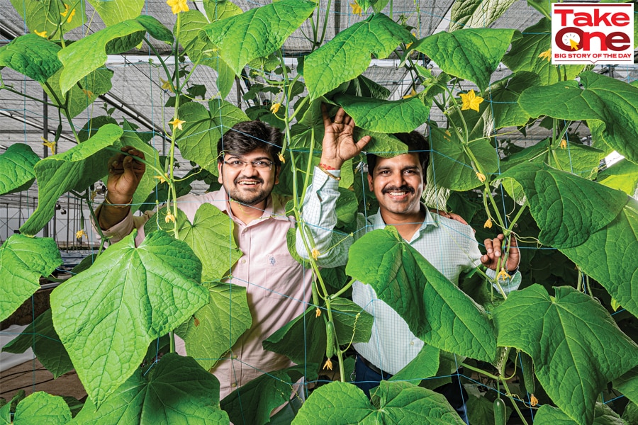 
Nutrifresh Farms co-founder & CEO Sanket Mehta and co-founder Ganesh Nikam at Nutrifresh farms, Pune
Image: Swapnil Sakhare for Forbes India