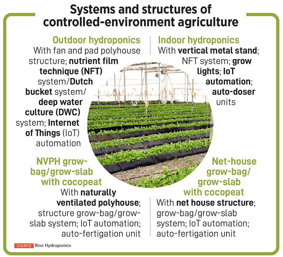 
Nutrifresh Farms co-founder & CEO Sanket Mehta and co-founder Ganesh Nikam at Nutrifresh farms, Pune
Image: Swapnil Sakhare for Forbes India