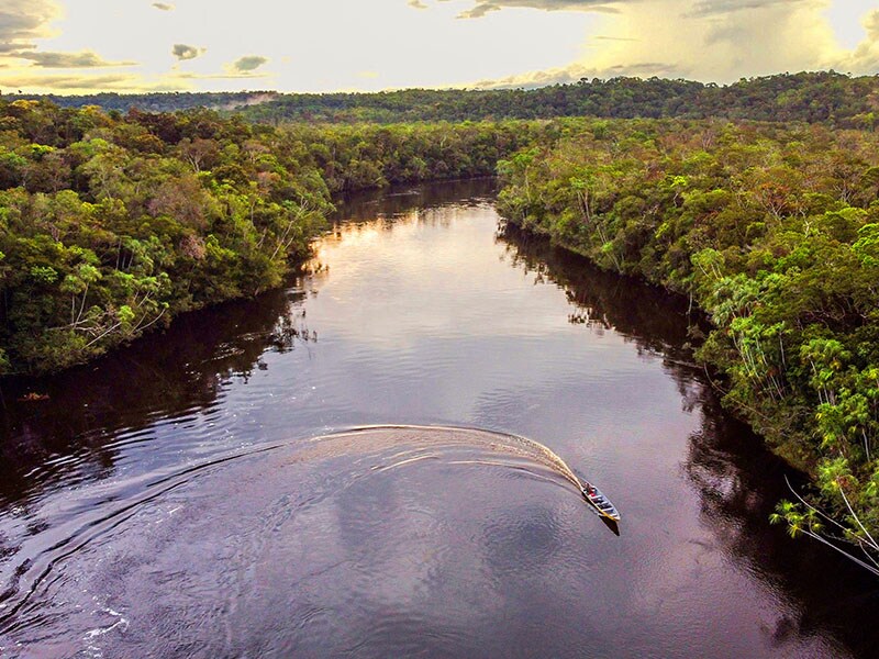 Amazon community fights carbon credit project