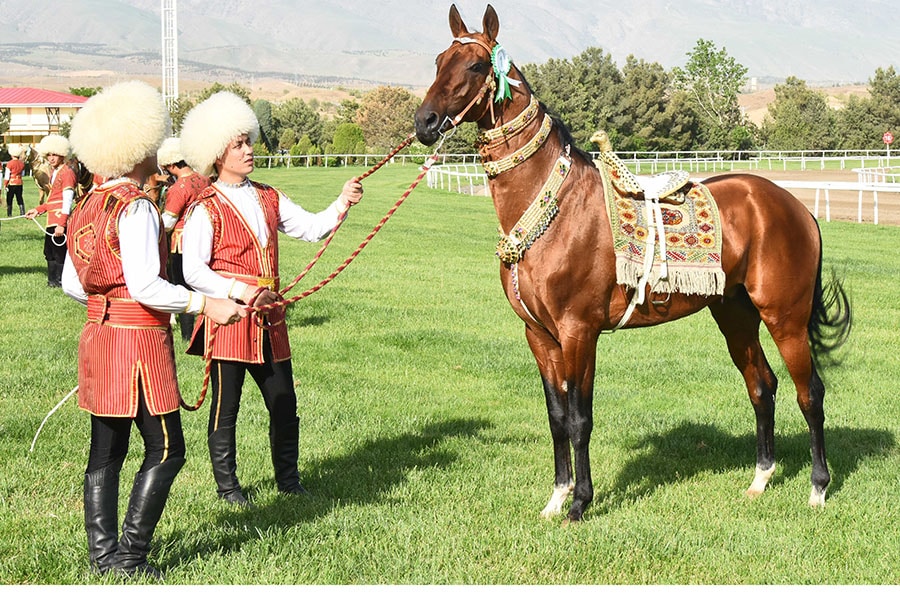 Image: © Hasan Magadov, Turkmenistan, 2022