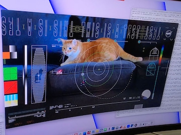 The feline frontier: NASA sends cat video from deep space