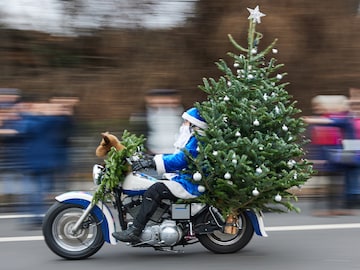 In pictures: Christmas Tree's heartwarming avatars this winter around the globe