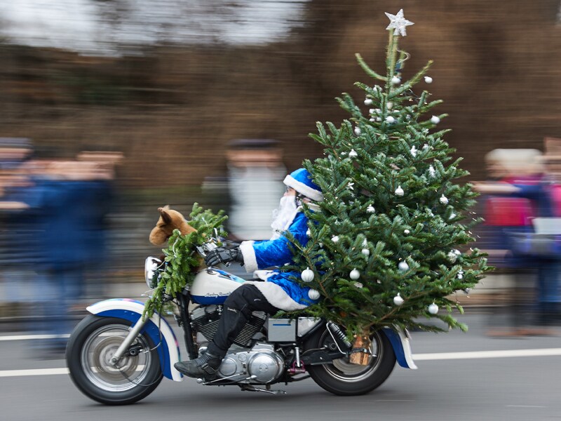 In pictures: Christmas Tree's heartwarming avatars this winter around the globe
