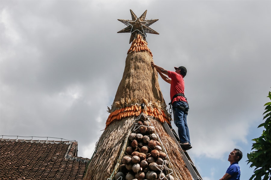 Image: Joerg Carstensen/dpa via Getty Images