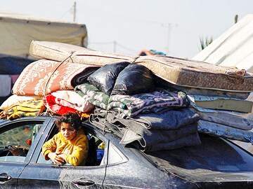 Photo of the day: Looking for home