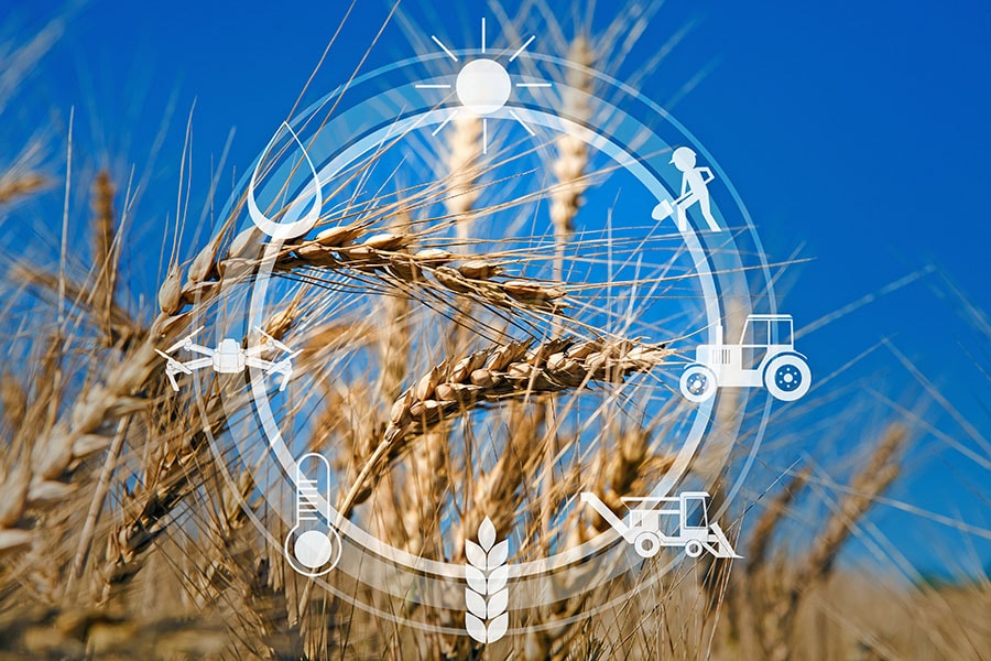 The Government proposes to set up an agriculture accelerator fund “to encourage agri startups by young entrepreneurs in rural areas
Images: Shutterstock