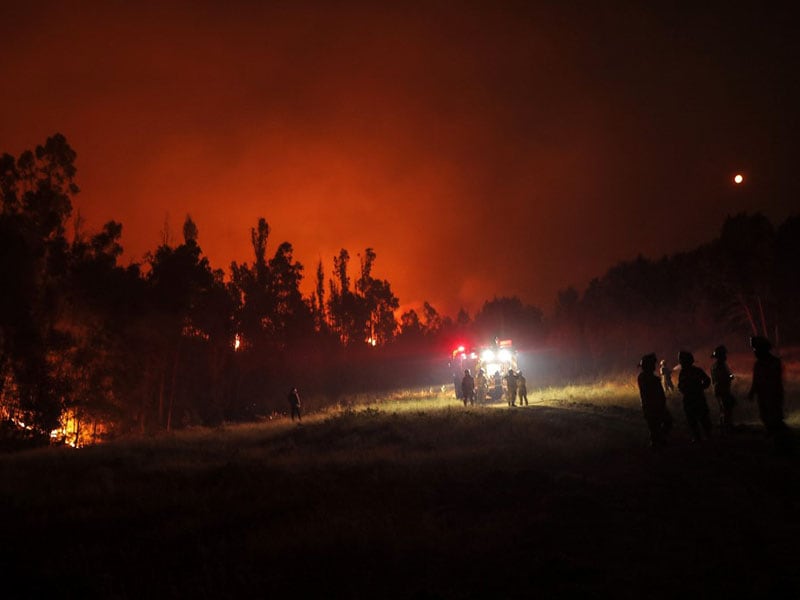 Photo of the day: Burning forest