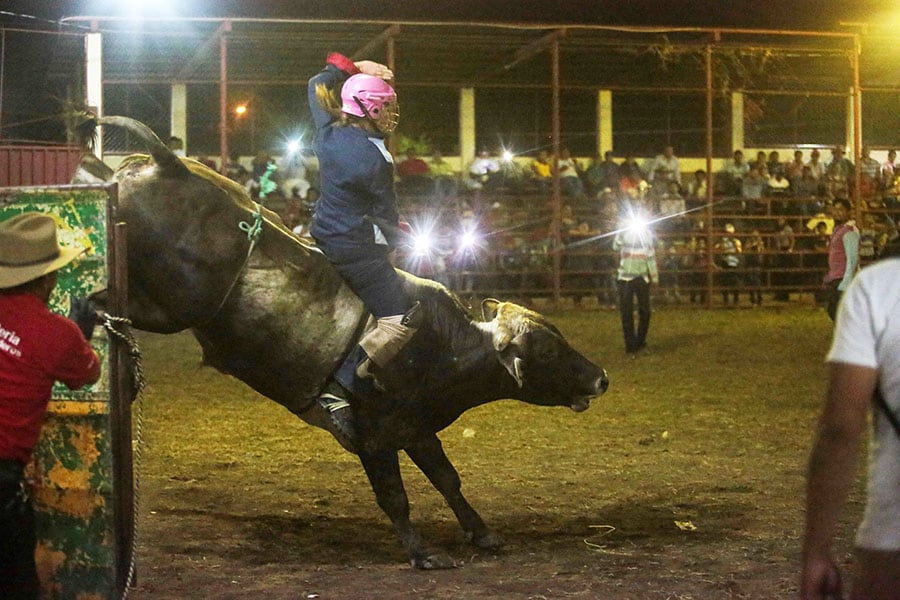 Bull rider Eveling Perez performs during a traditional bull riding event during the celebration of a religious feast held in honour of the Candelaria Virgin in Teustepe, Nicaragua on February 5, 2023.
Image: Oswaldo Rivas / AFP