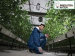 Eeki Foods: Hydroponic veggies at mandi rates