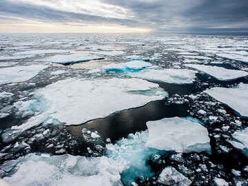 The great melting and eventual sinking: Have we reached the point of no return?