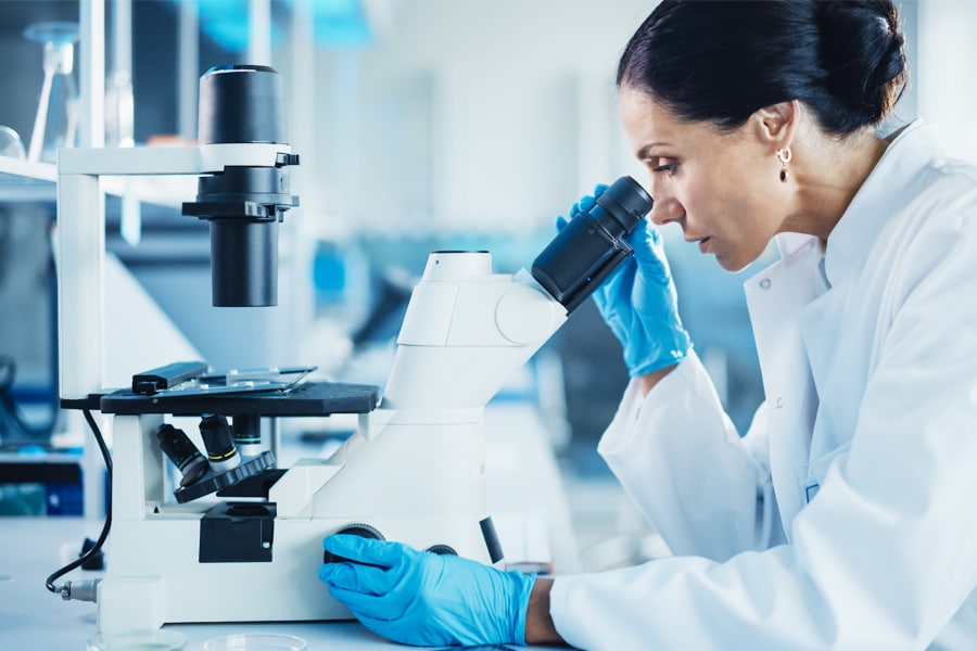 Gender parity will be achieved in the authorship of scientific papers on biology by 2069, according to a new study. Image: Shutterstock 