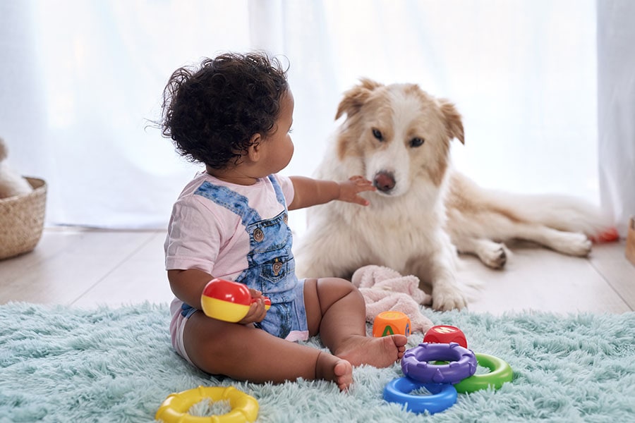 The presence of a pet motivates a child to want to interact with it, which promotes motor, cognitive and prosocial development.
Image: Shutterstock 