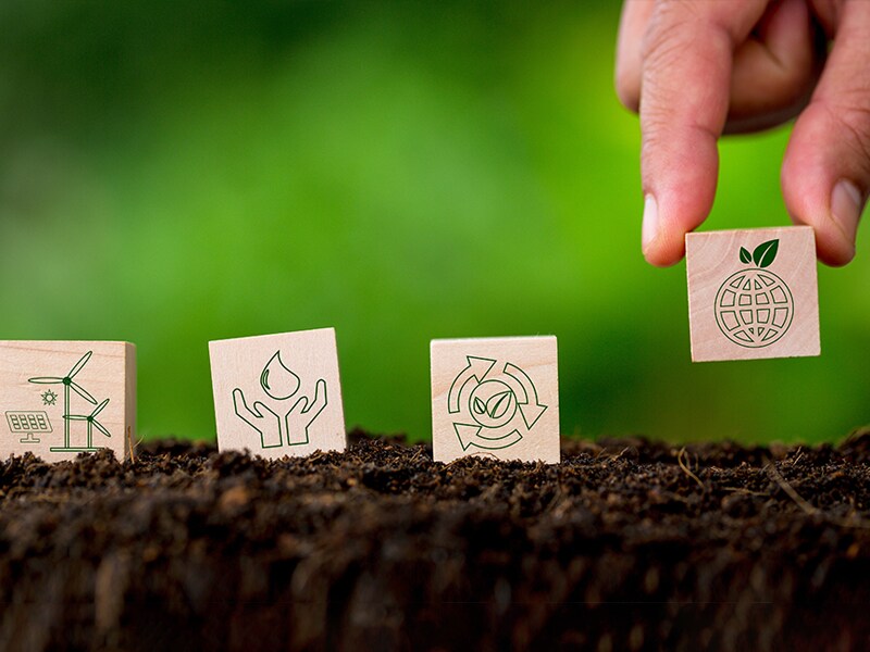 5 difficult but feasible steps to reverse the climate crisis