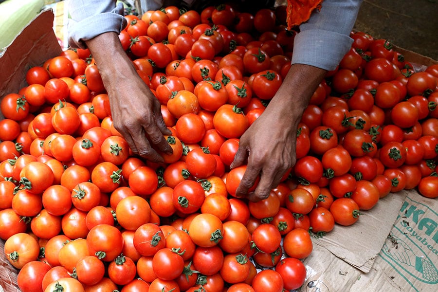 Rise in tomatoes prices has had a profound effect on countless households. Image: Debajyoti Chakraborty/NurPhoto via Getty Images