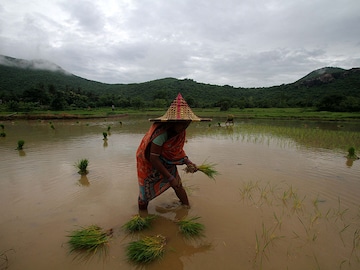 Rain Watch: Monsoon picks up steady pace, water reservoir levels still low