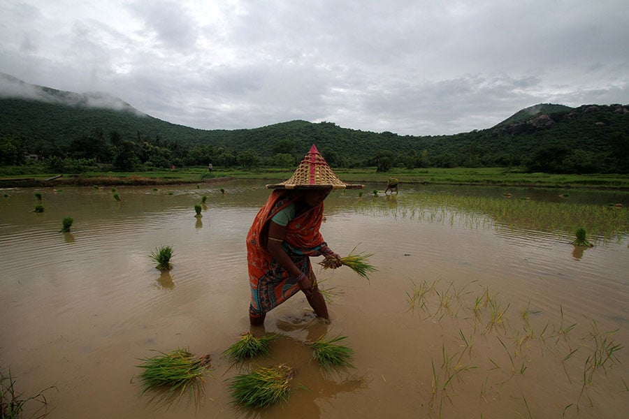 Rain Watch: Monsoon picks up steady pace, water reservoir levels still low