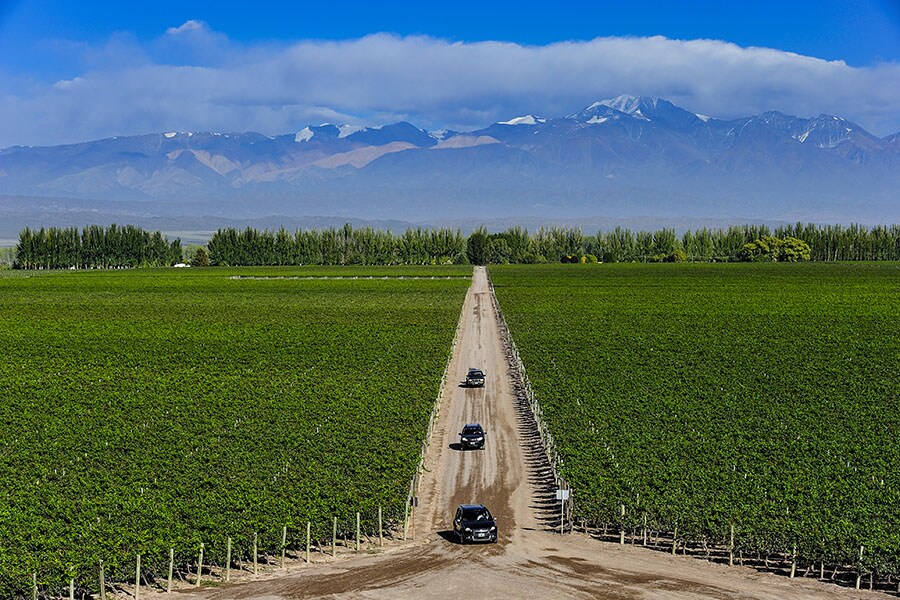 Catena Zapata, Mendoza, Argentina. Image credit: Shutterstock