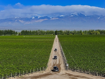 The world's 5 best vineyards for 2023: From Catena Zapata to Chateau Smith Haut Lafitte