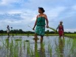 Rain Watch for July 13-19: Monsoon uneven, kharif sowing still lagging