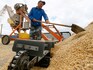 Russia exits grain deal: Food inflation concerns back with a bang