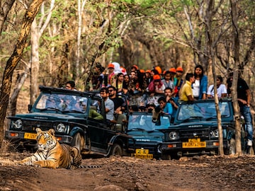 World Nature Conservation Day 2023: Five luxurious jungle safaris in India