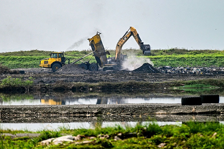 Singapore races to save 'Garbage of Eden'