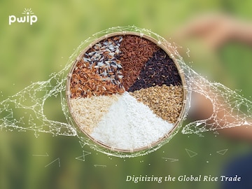 Digitizing the rice trade: PWIP's journey of transforming cross-border supply chain