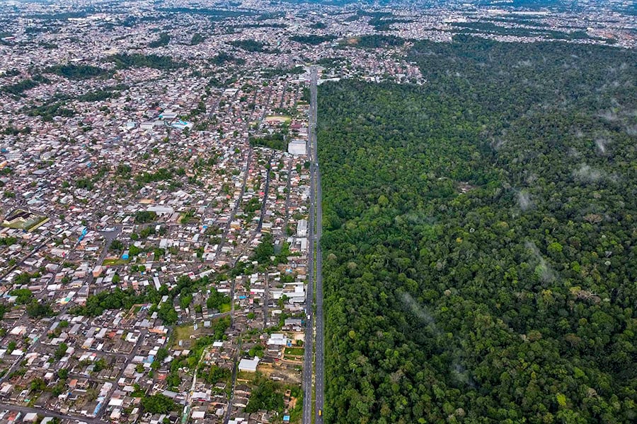 Brazil accounted for 43 percent of the tropical forest loss last year.
Image: Michael Dantas / AFP 