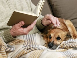 reading_shutterstock_1986877016_sm