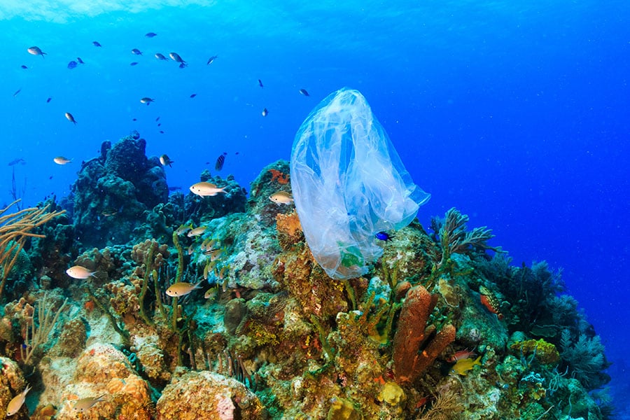 Rise in ocean plastic pollution 'unprecedented' since 2005