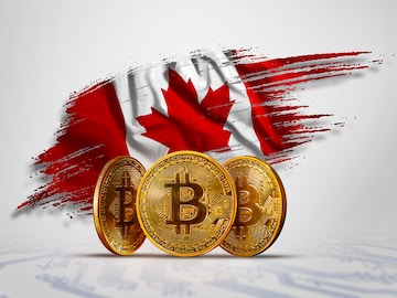 Bitcoin FOMO cools down, portfolio managers harbour high hopes