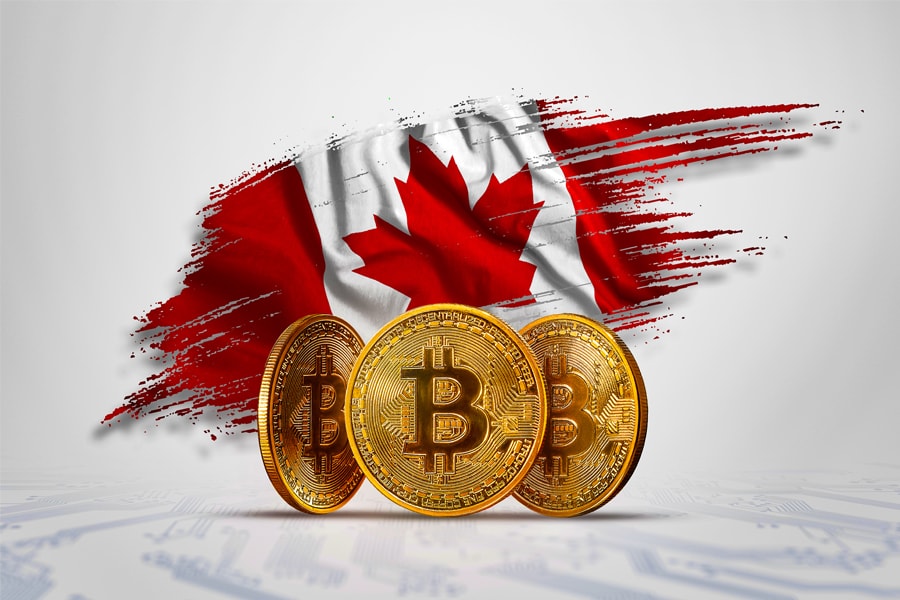 Bitcoin FOMO cools down, portfolio managers harbour high hopes