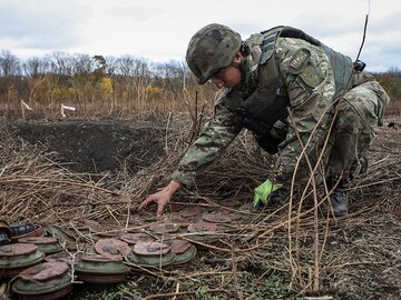 Consequence of war: The need to prevent the collective loot of environmental resources