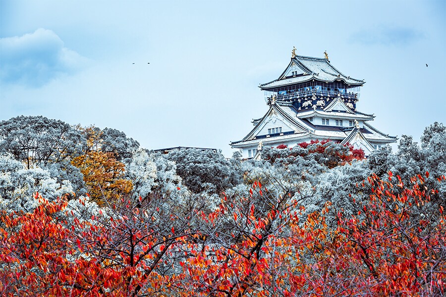 Osaka, Japan. Image credit: Shutterstock