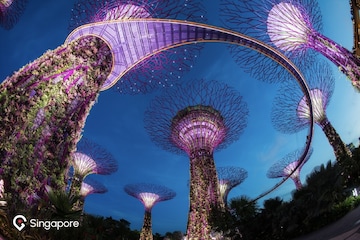 Transform your travel dreams into reality with Go City's unforgettable experiences