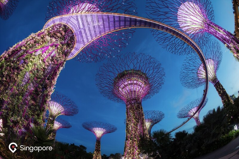 Transform your travel dreams into reality with Go City's unforgettable experiences