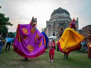 Photo of the day: Flying colours