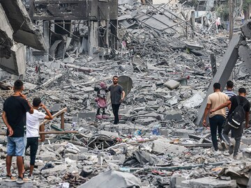 Photo of the day: Looking for life in rubble