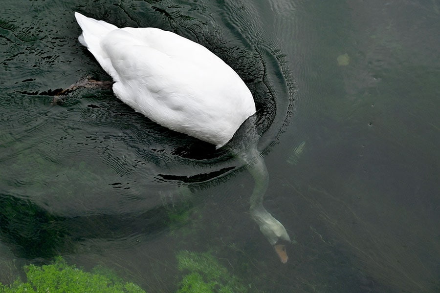 Image: GABRIEL BOUYS / AFP