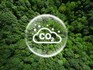 World's available CO2 'budget' for 1.5C smaller than thought: study