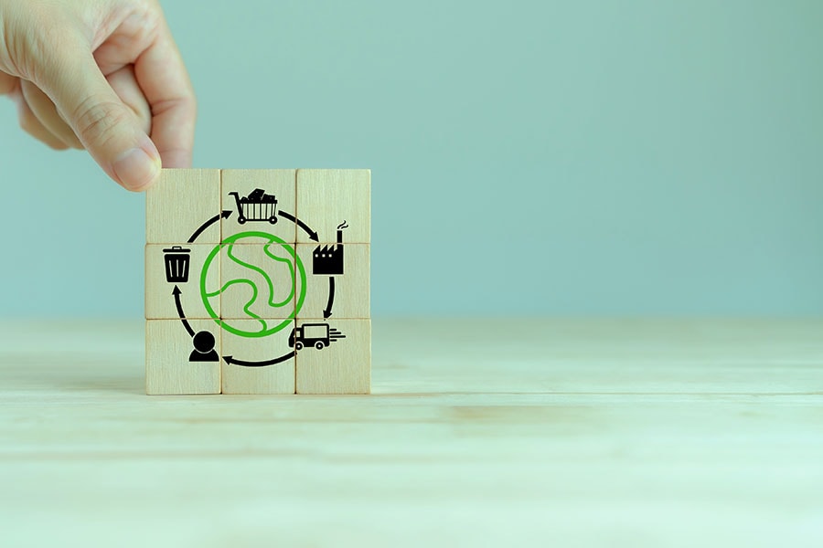 Assessing the environmental cost of supply chains