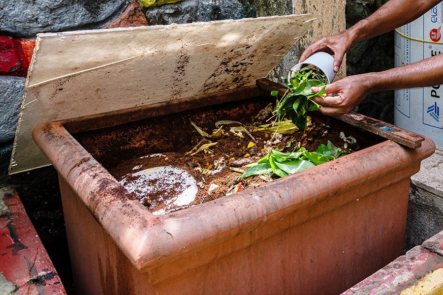 Jibu Thettayil, a resident of Naigaon, shows earthworms, which he feeds to the fish living in his aquaponics setup.