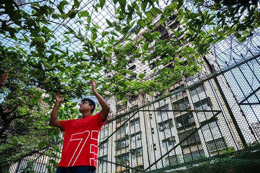 Jibu Thettayil, a resident of Naigaon, shows earthworms, which he feeds to the fish living in his aquaponics setup.