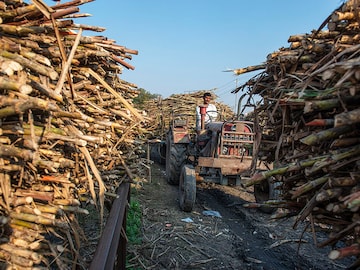 Explainer: Is there a looming sugar shortage?