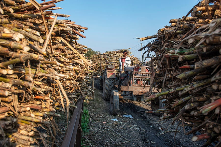 Explainer: Is there a looming sugar shortage?