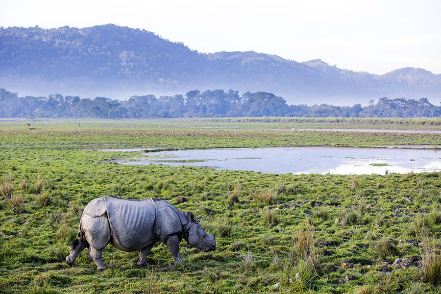 Khangchendzonga National Park; ﻿Image: Shutterstock