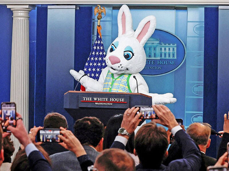 A bunny at a media briefing and fifteen questions in photos: Eyecatchers of the week
