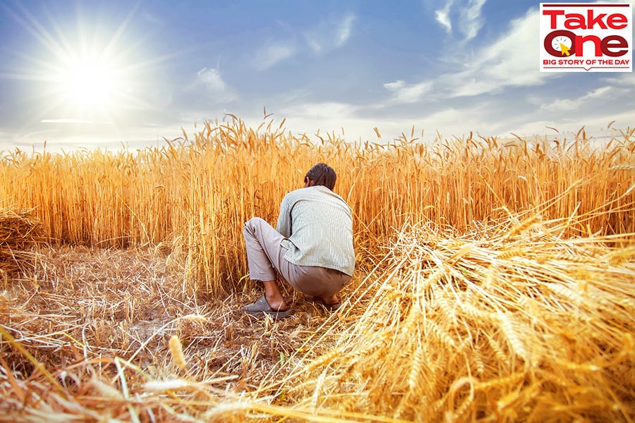 The cycle of higher number of days of heat waves poses a significant threat to the economy, especially farm income, food price-led inflation, and public health conditions.
Image: Getty Images