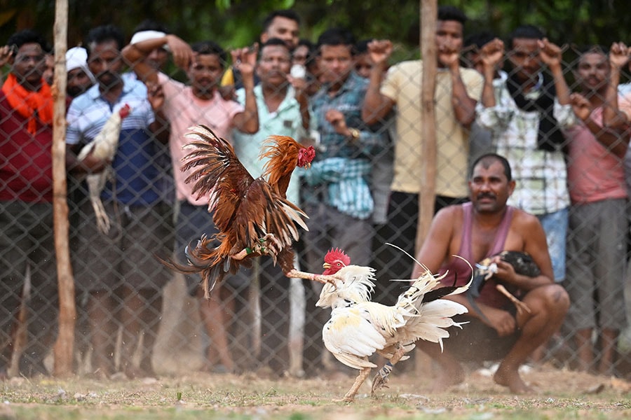 Image: Priyanshu Singh / Reuters